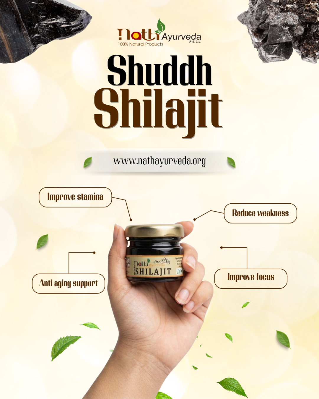 Nath Ayurveda Shilajit
